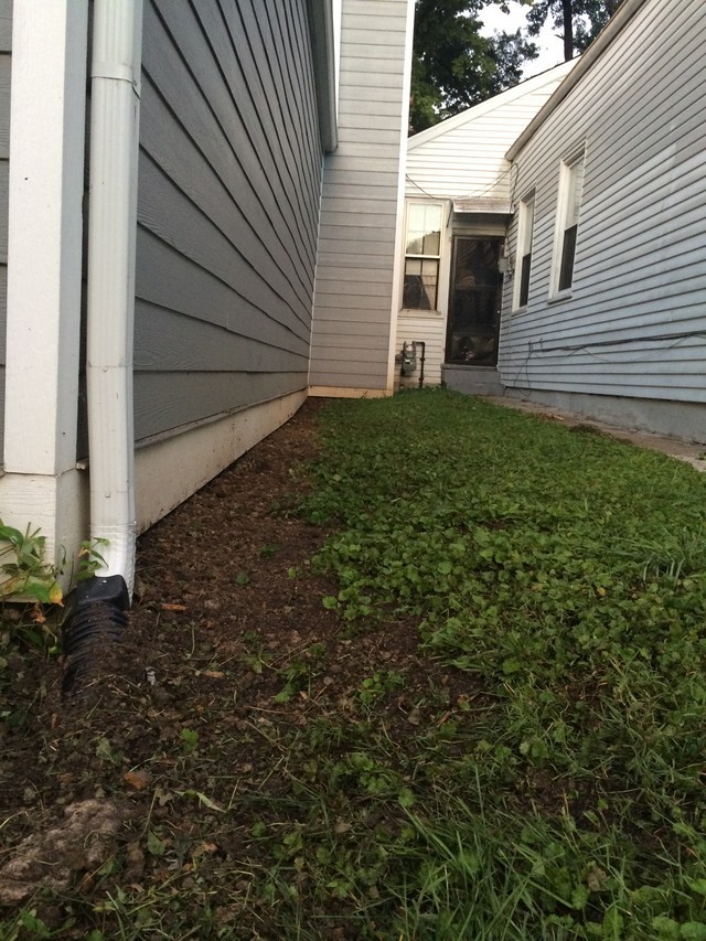 French Drain or Regrade or Both?