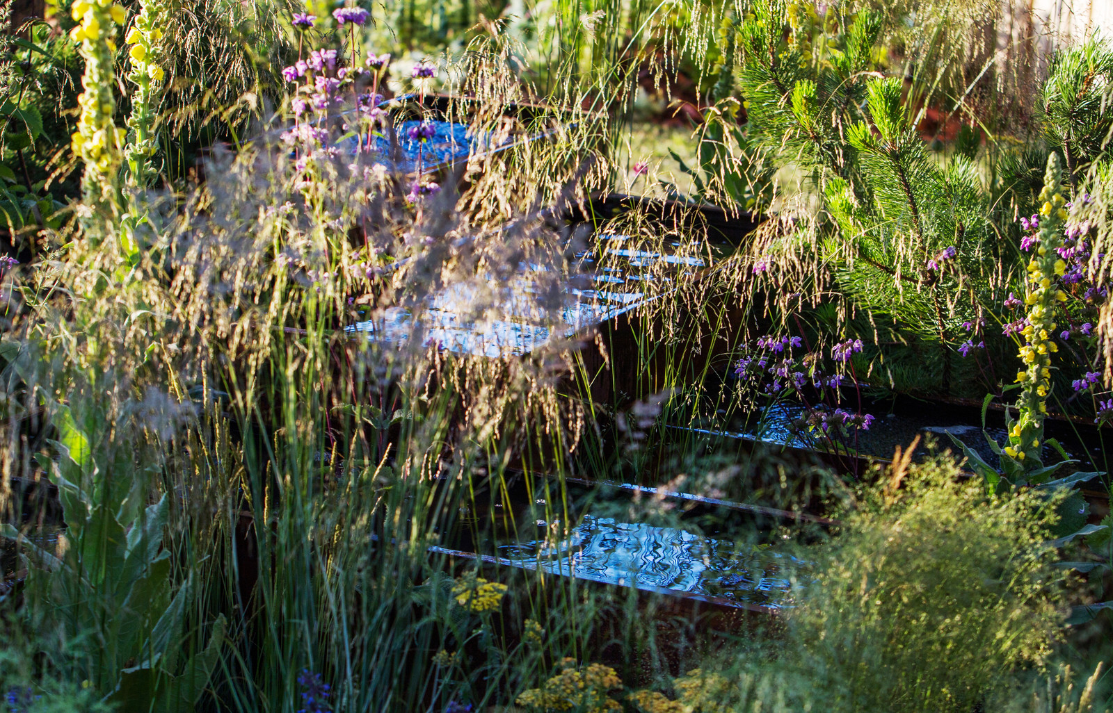 Сад   James Alexander-Sinclair  на Moscow Flower Show 2018  (вне  конкрса)
