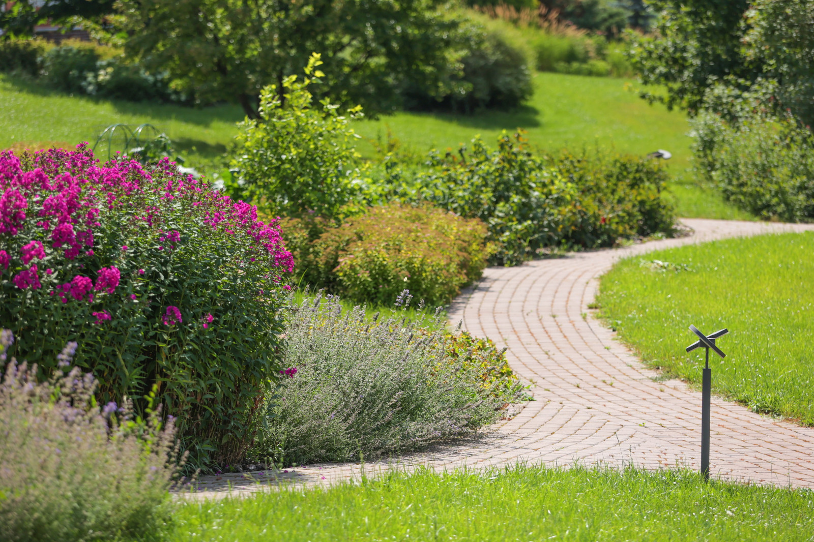 Якшино. Осень 2019