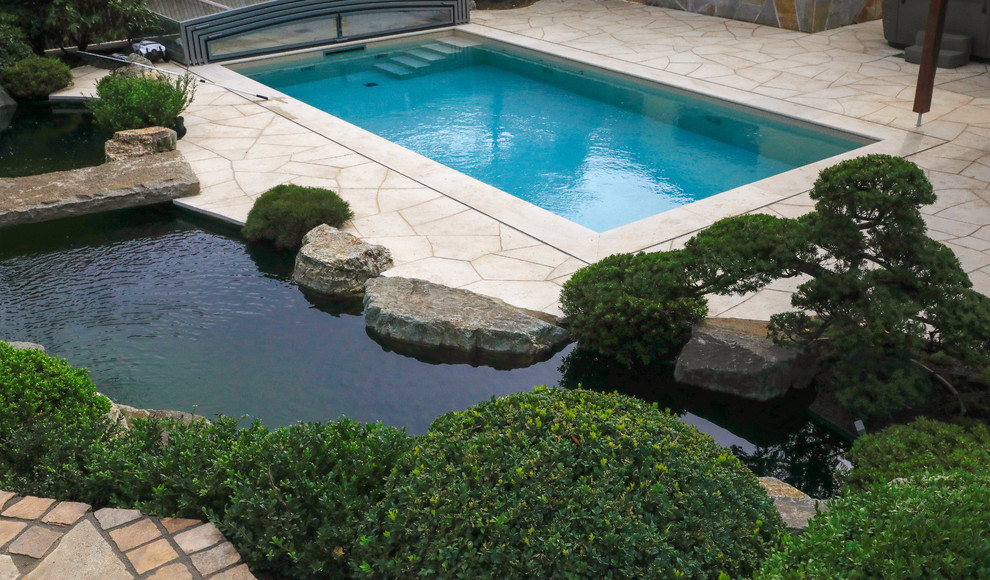 Asiatischer Pool in Frankfurt am Main