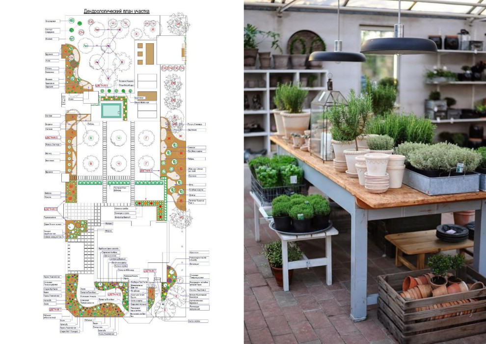 Дендрологический план