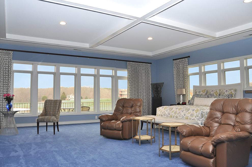 Photo of a contemporary master bedroom in DC Metro with blue walls and carpet.