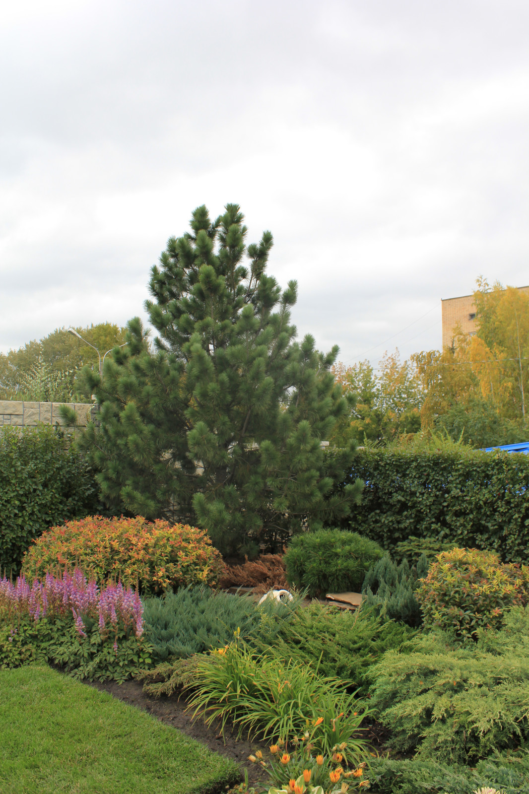 Реализованные проекты