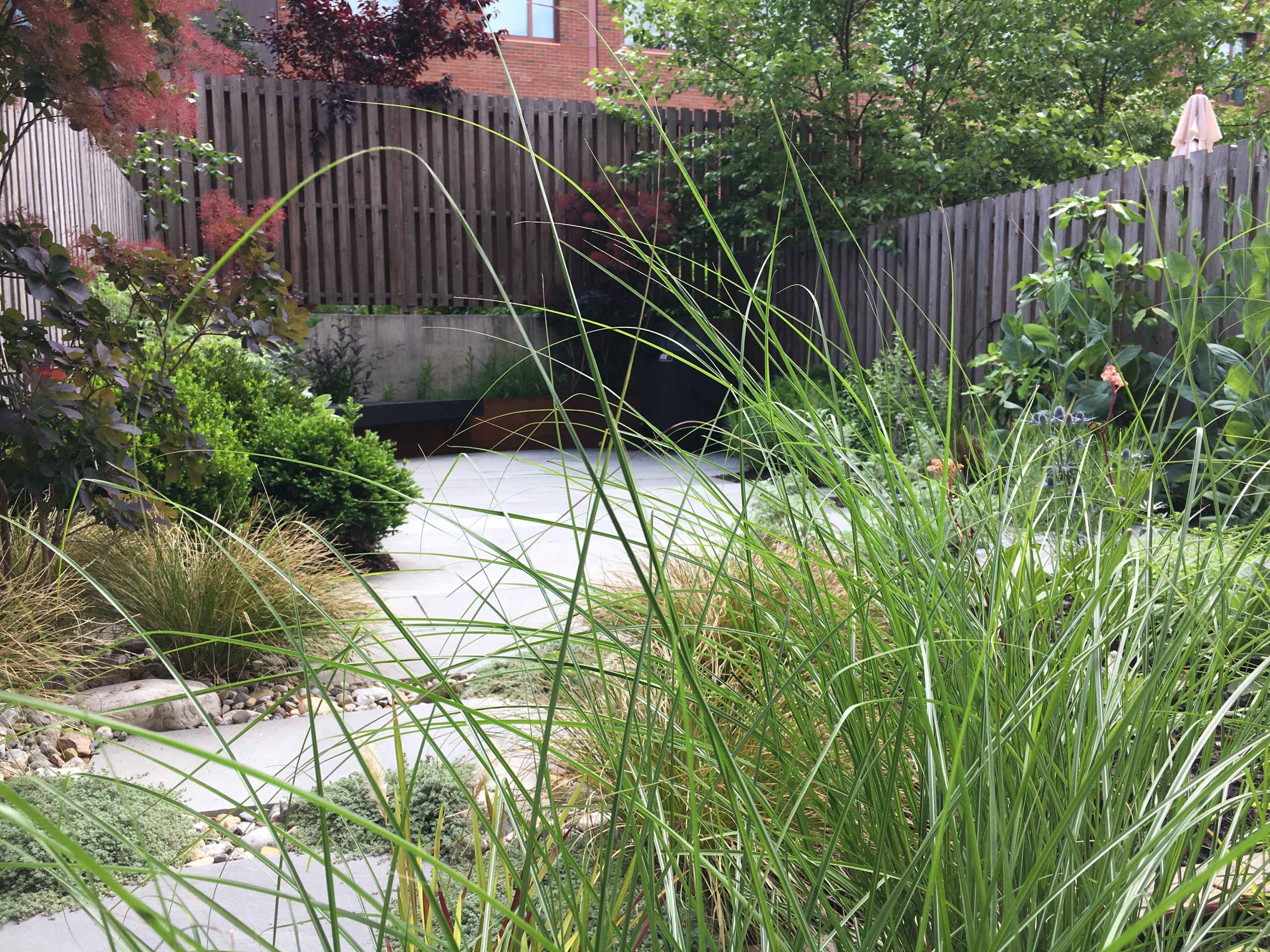 Modern Garden with Curved Corten Border