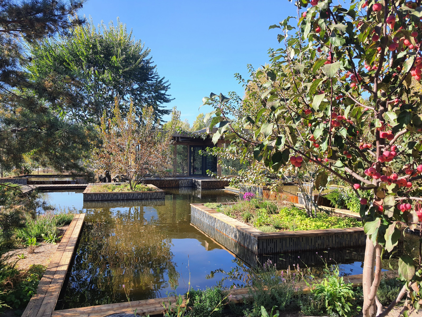 Водоем в саду