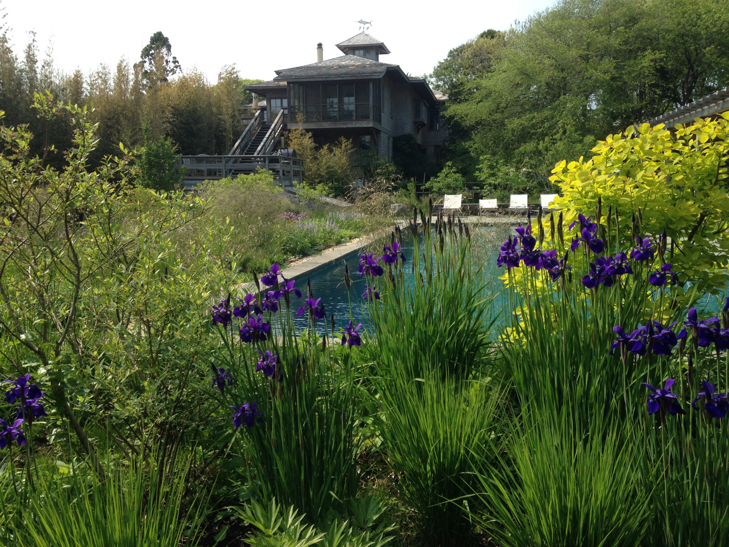 East Hampton, NY - Revegetation Design and Installation