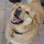 Last commented by Gilrie Pools, Inc.
