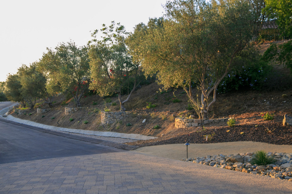 Photo of a large mediterranean front xeriscape full sun garden in San Diego with a fire feature and natural stone paving.