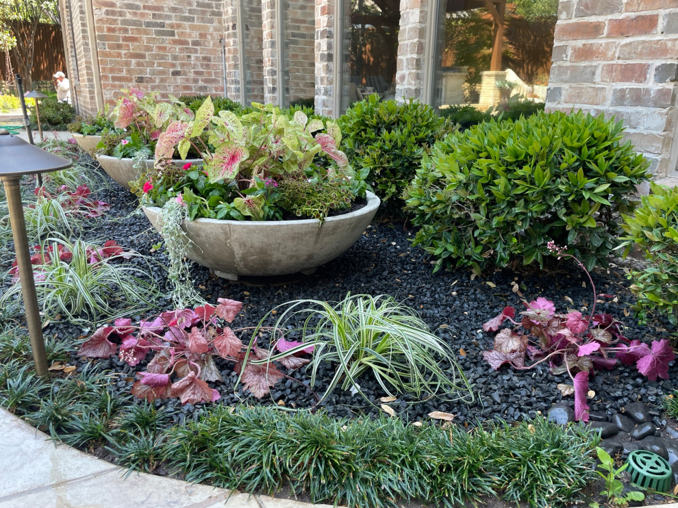 Back yard and pool landscape