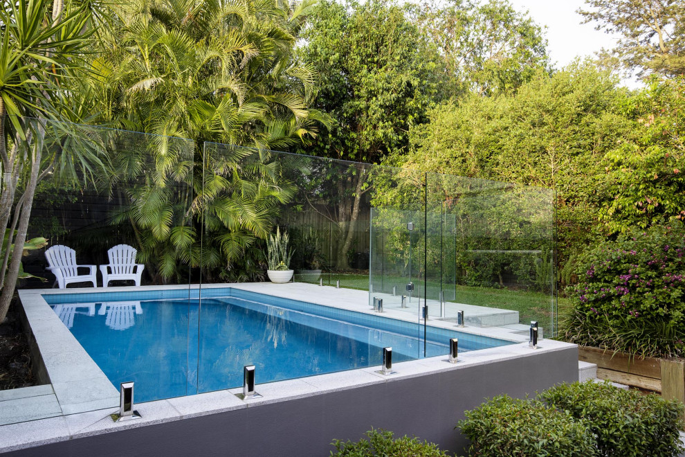 Design ideas for a small modern pool in Brisbane.