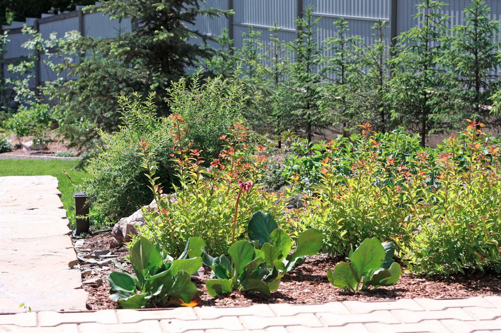 Сад Кандинский