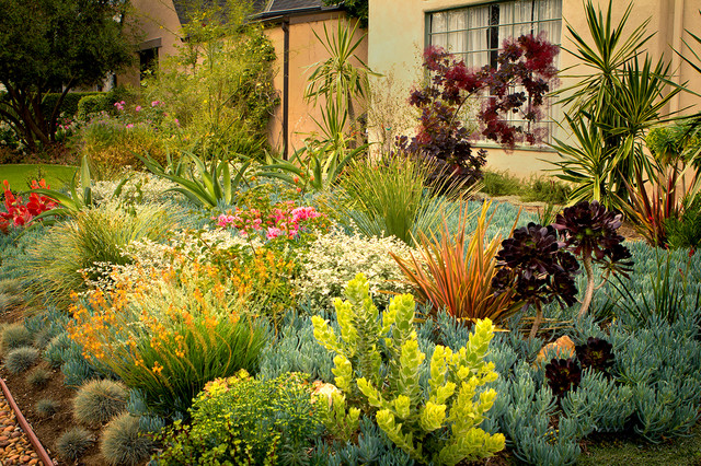 8 Colorful Drought Tolerant Landscape Designs - Cottage Garden Ideas Zone 9