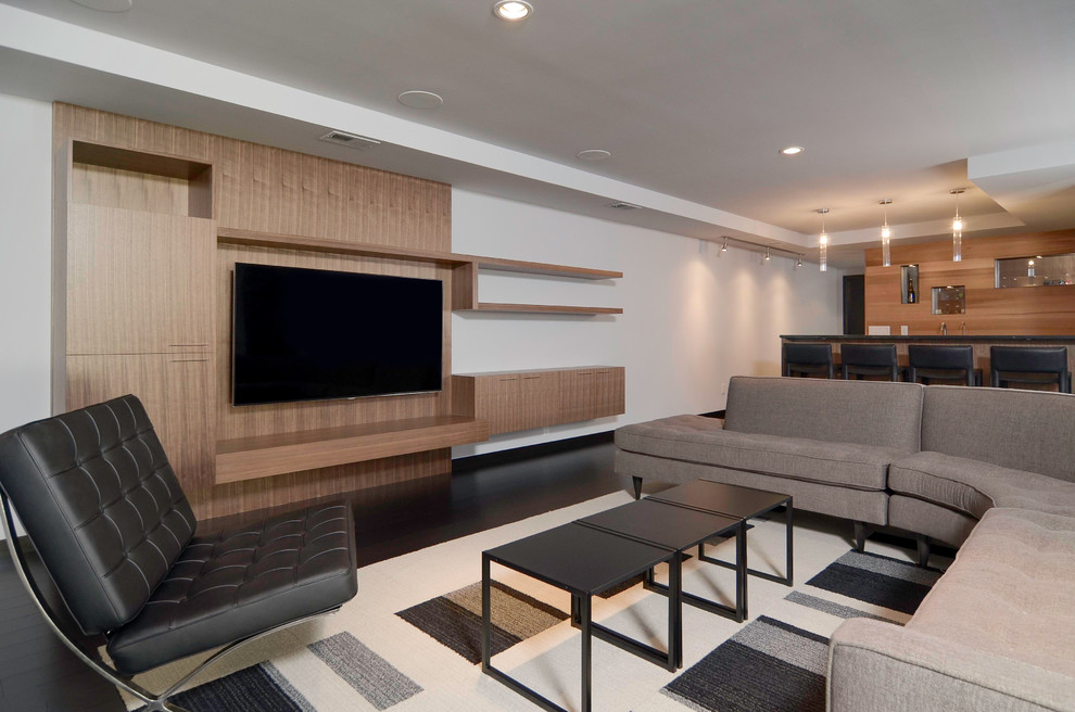 This is an example of a modern basement in Minneapolis.