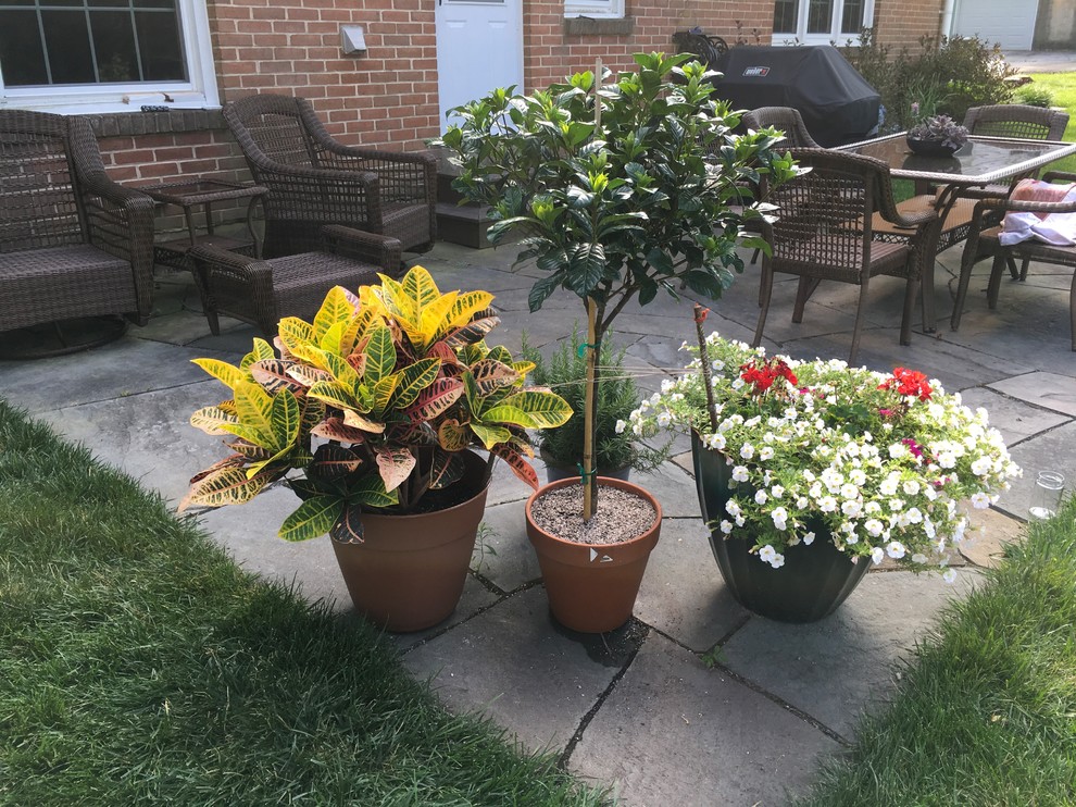 12” Clay Pot Keeps Blowing Over (Gardenia Tree)