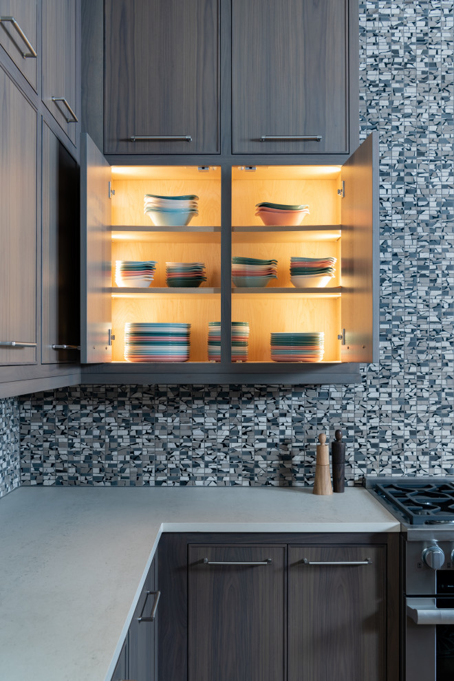 Kitchen - transitional kitchen idea in Dallas
