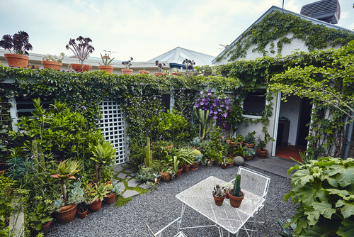 A garden has overtaken nearly all of the lattice fencing in this verdant sitting area.