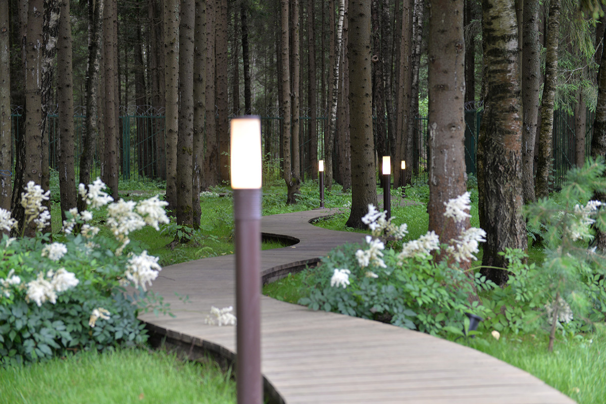 Духанино, 2015