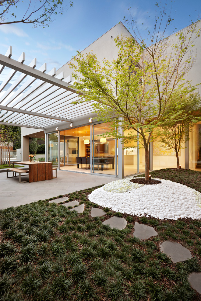 This is an example of a mid-sized contemporary backyard garden in Melbourne with a garden path.