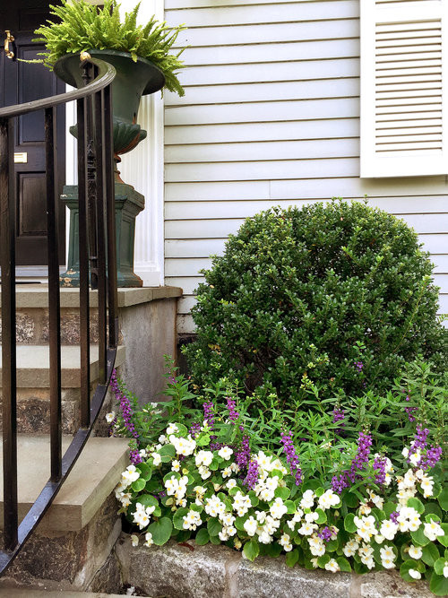 This is an example of a small traditional full sun front yard garden path in New York.