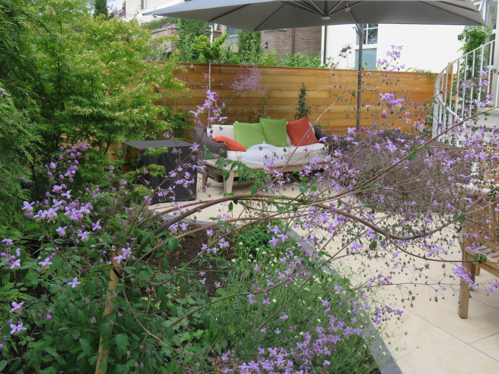 Back Garden, London