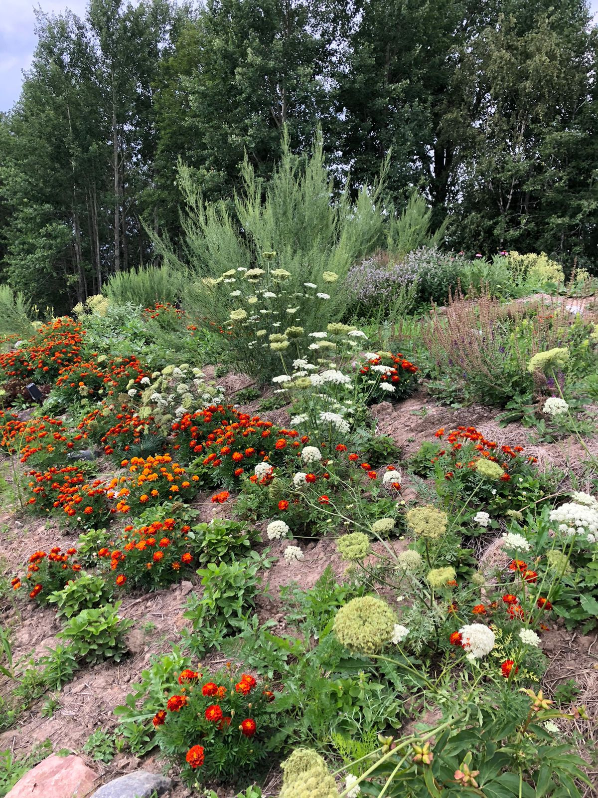 Пермакультурная агроусадьба. Рыбные пруды