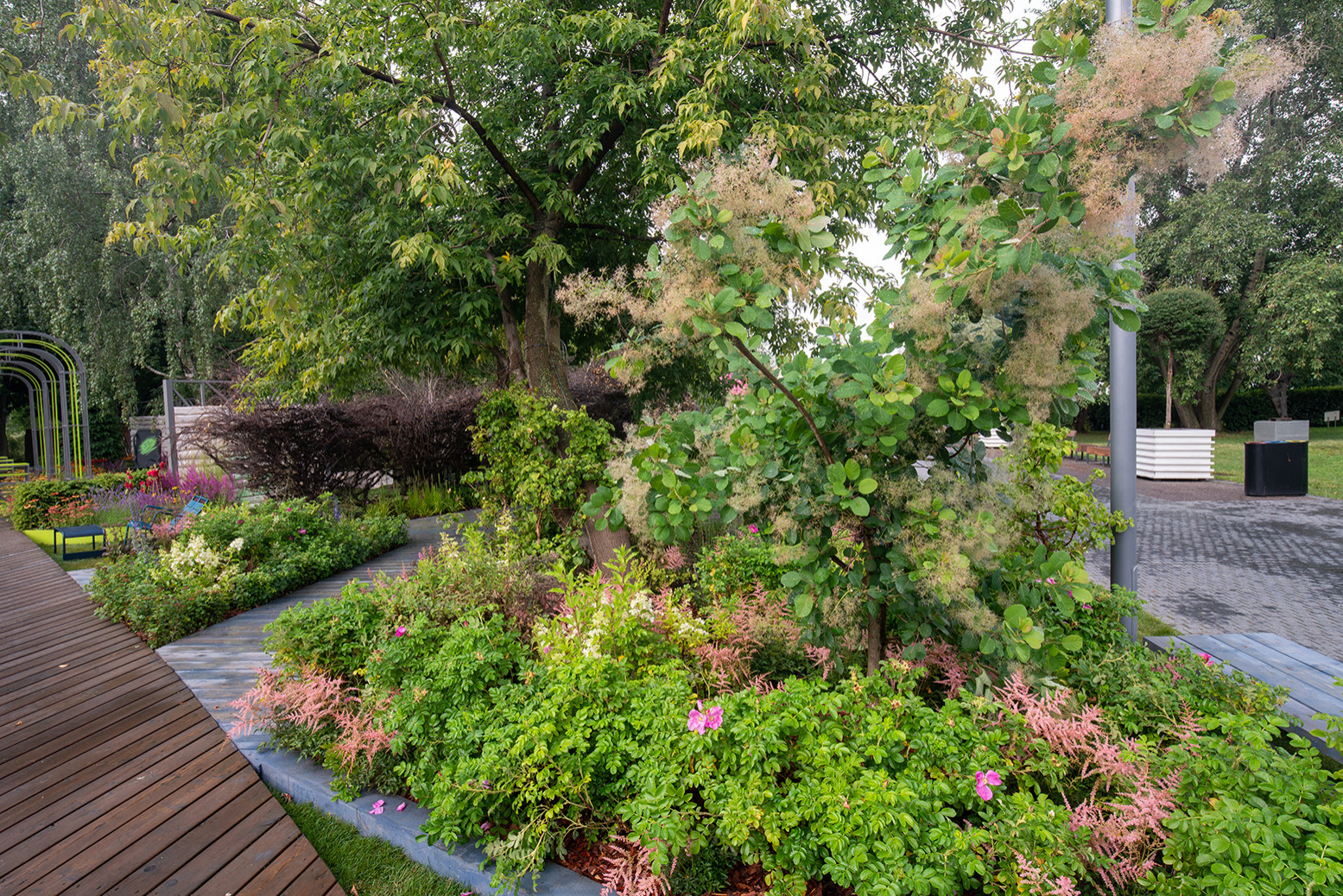 Фотосъемка Сада   по  Метрелинку на MFS 2019 Авторы М,Береснева М. ПРИНТЦ