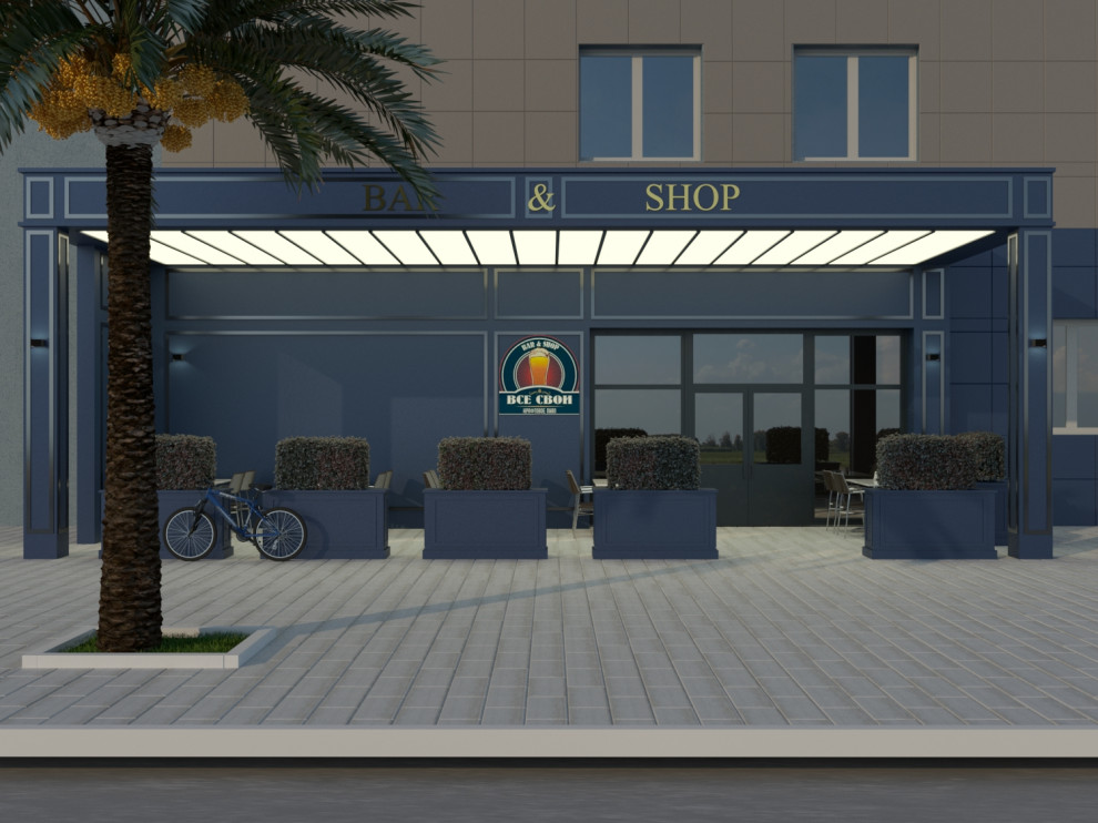 Концептуальное решение входной группы общественного заведения