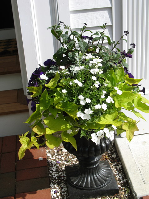 Window Boxes and Containers klassisch-garten