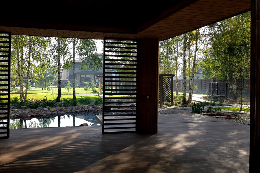 Пруд и берёзы