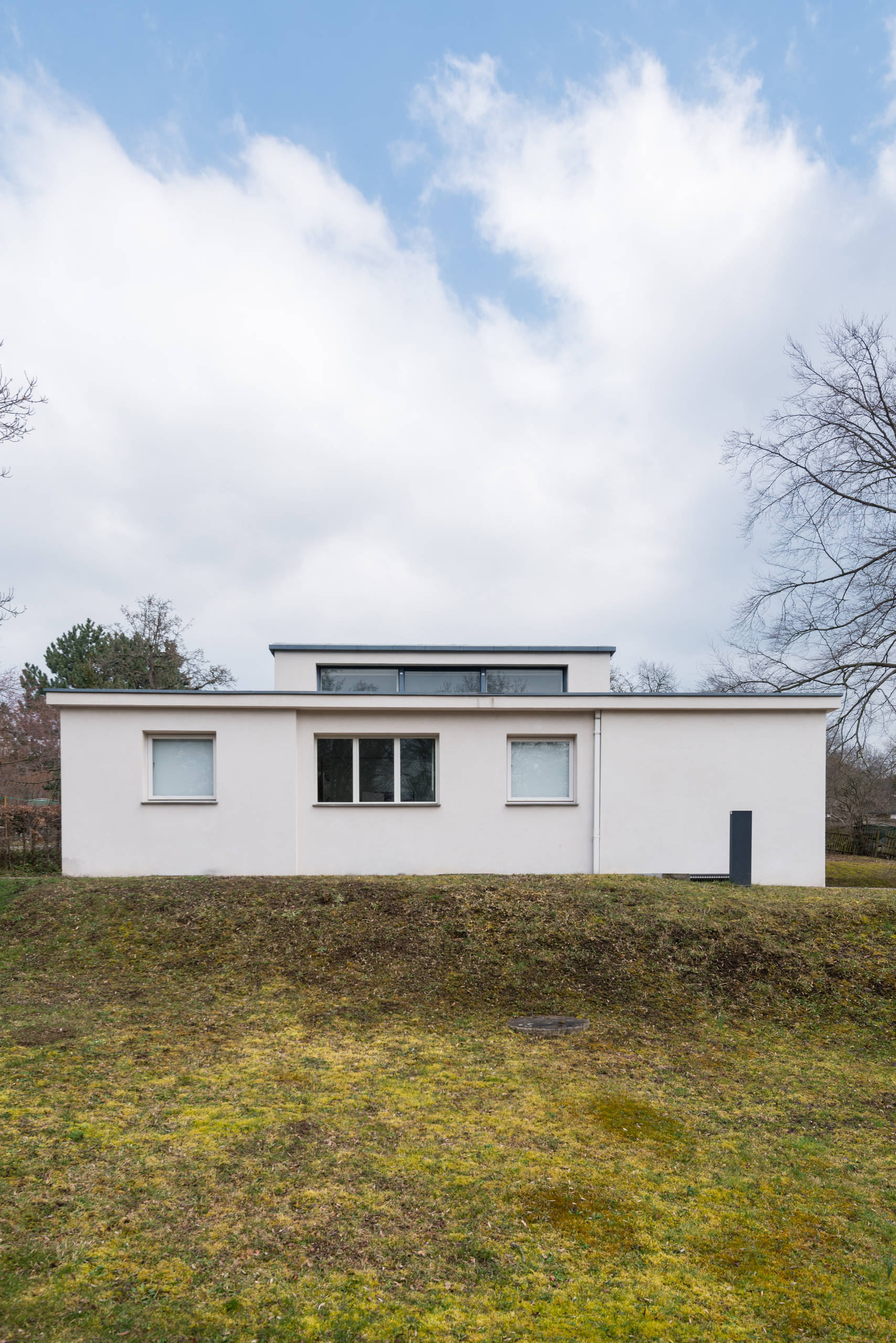bauhaus 1919-1933 バウハウス Bauhaus 1919-1933: Workshops for Modernity: Bergdoll, Barry