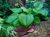 Eclectic Landscape by Jay Sifford Garden Design