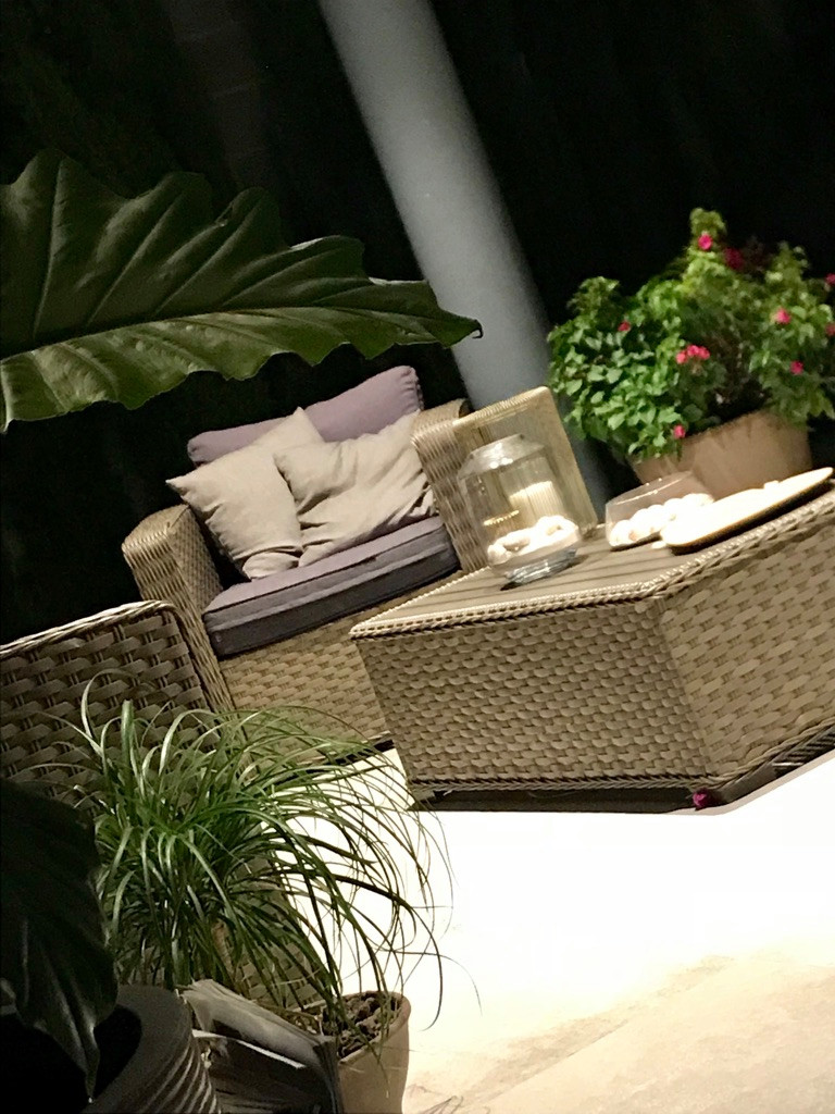 Diseño y Ejecución de jardín íntero