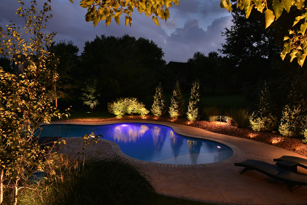 Design ideas for a mid-sized transitional backyard custom-shaped natural pool in Kansas City with stamped concrete.