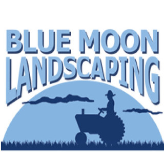 BLUE MOON LANDSCAPING - Project Photos &amp; Reviews - Columbia, SC US | Houzz