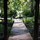 Last commented by hpanna47