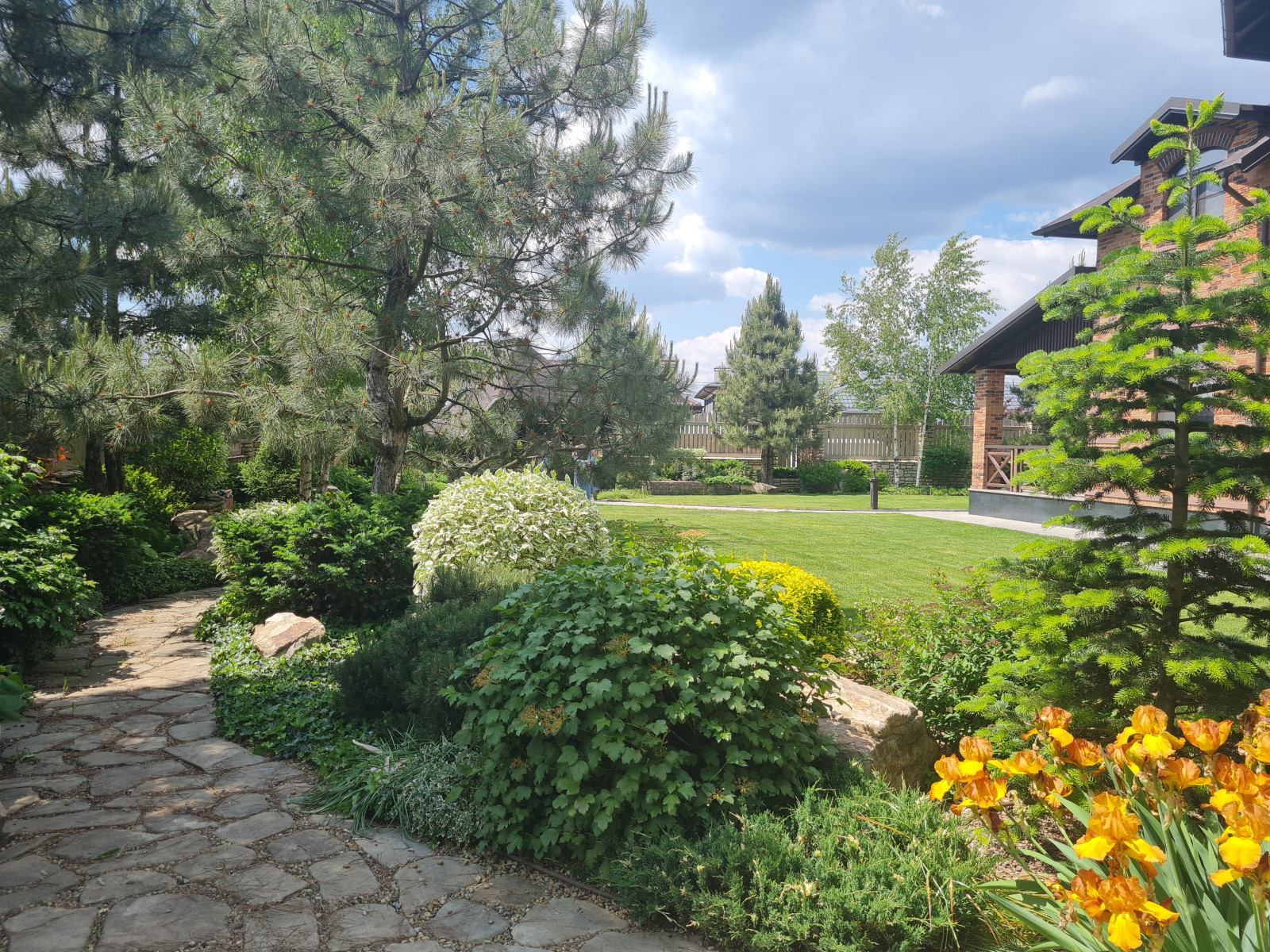 Лесная опушка