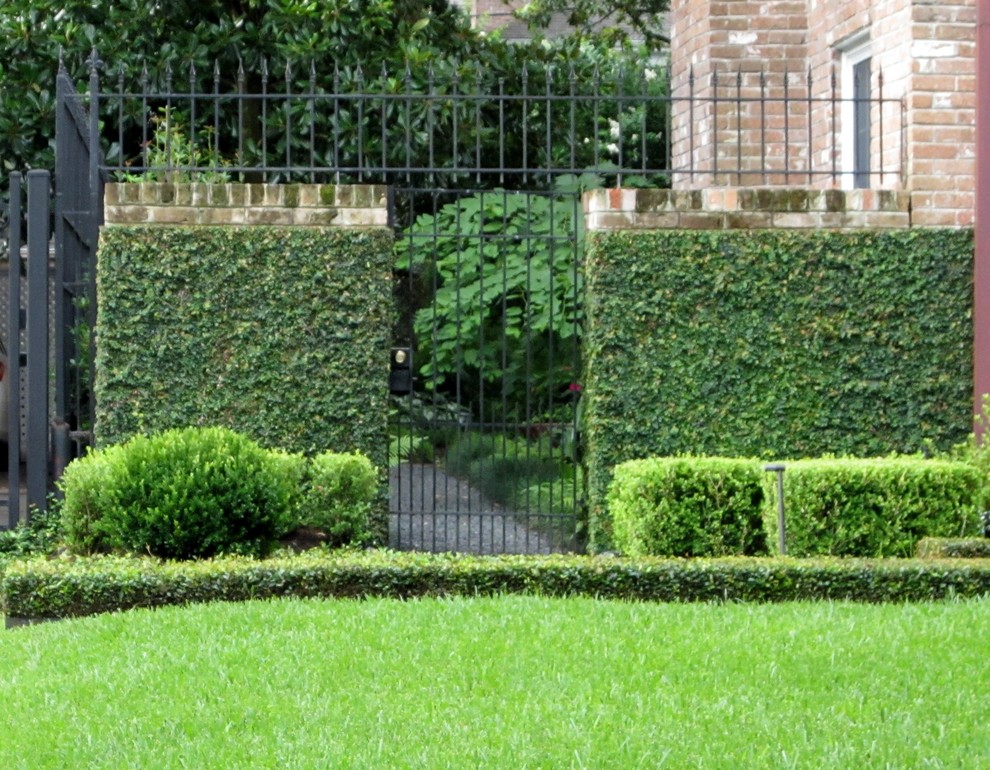 ヒューストンにあるトラディショナルスタイルのおしゃれな庭の写真