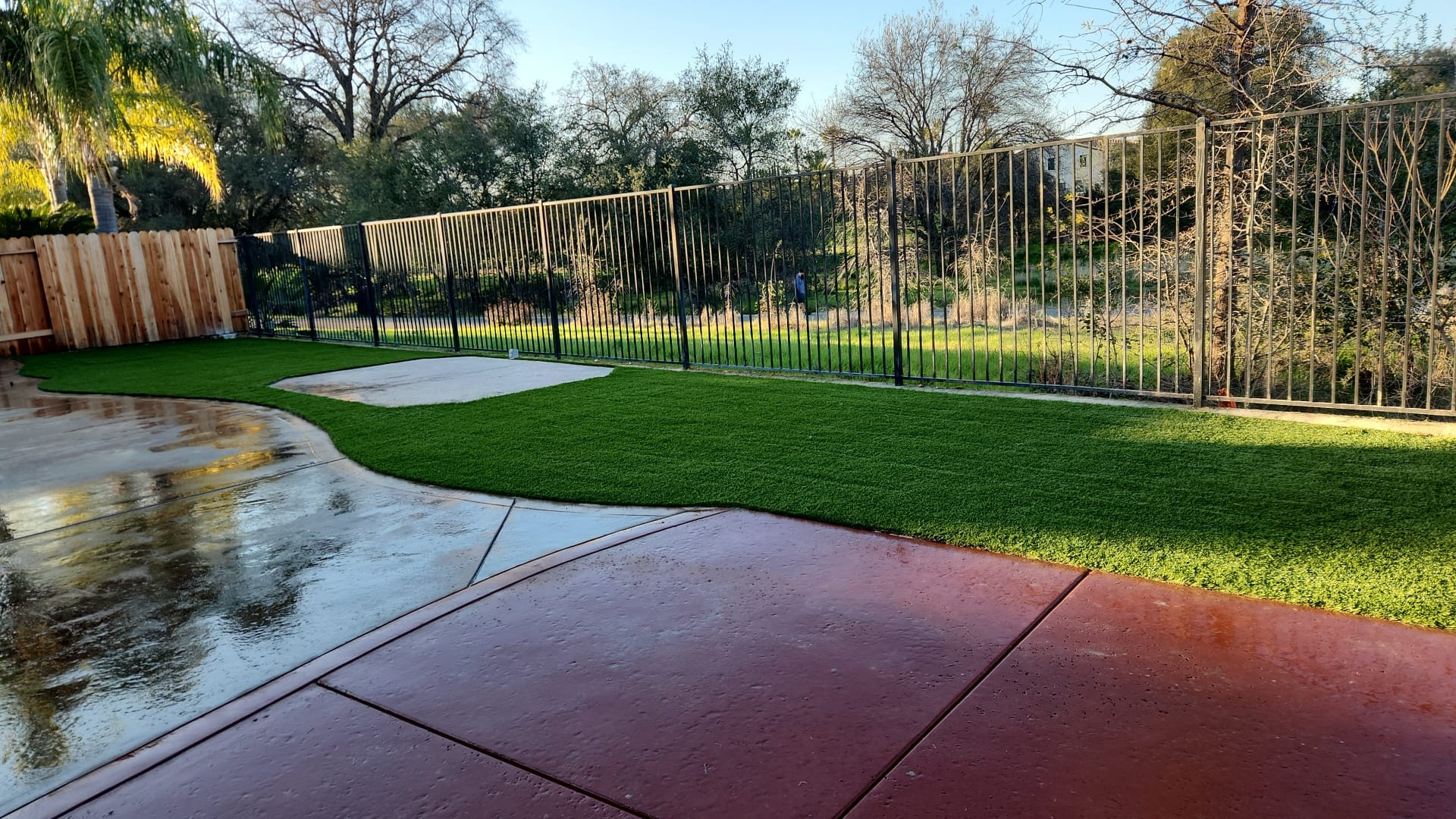 Photo of a traditional landscaping in Sacramento.