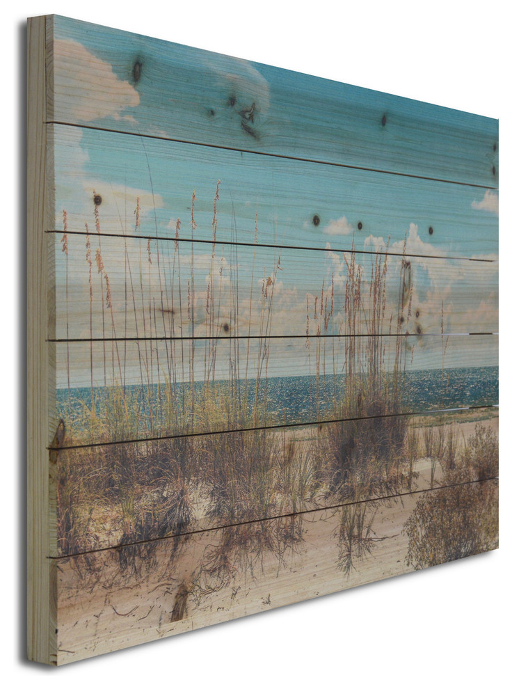 "Sand Dunes" Wall Art Photograph on Wood, 18x26 Beach Style Prints