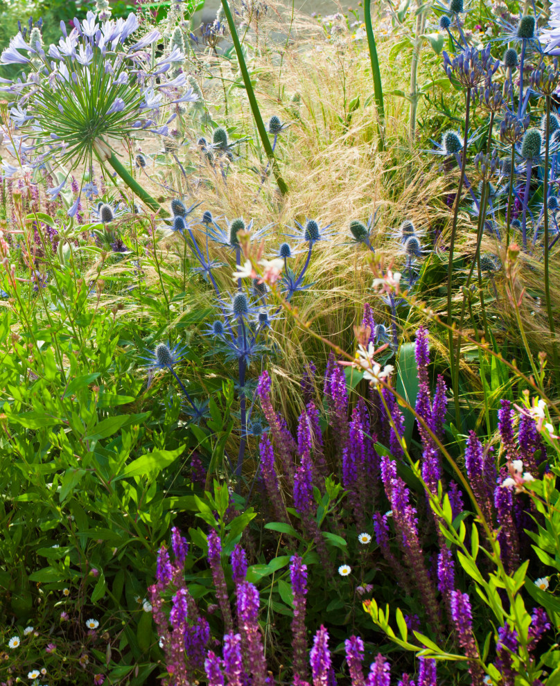 Lavender Drive, Planting, Essex