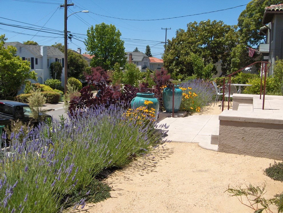 Photo of a traditional garden in San Francisco.