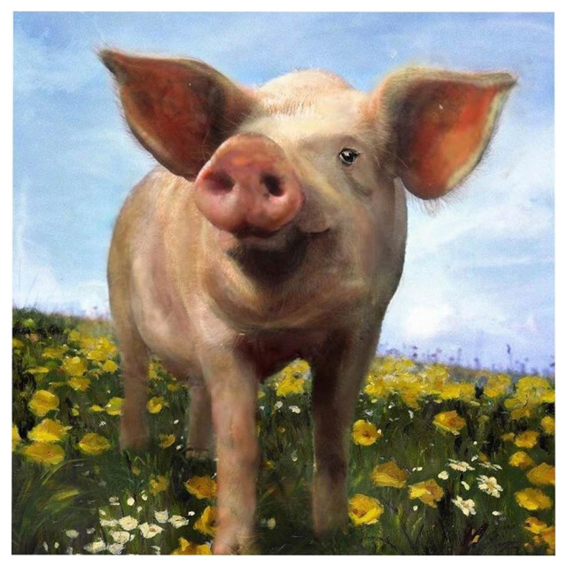 "Pig Out" Canvas Wall Art, 40"x40"