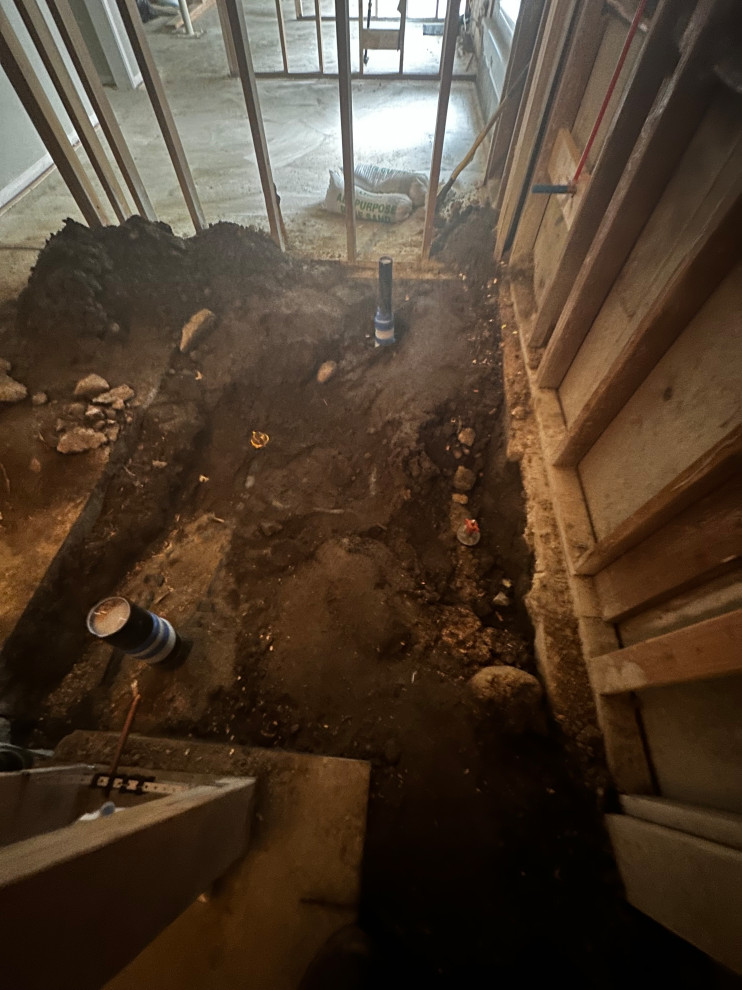 Federal Way Basement Remodel