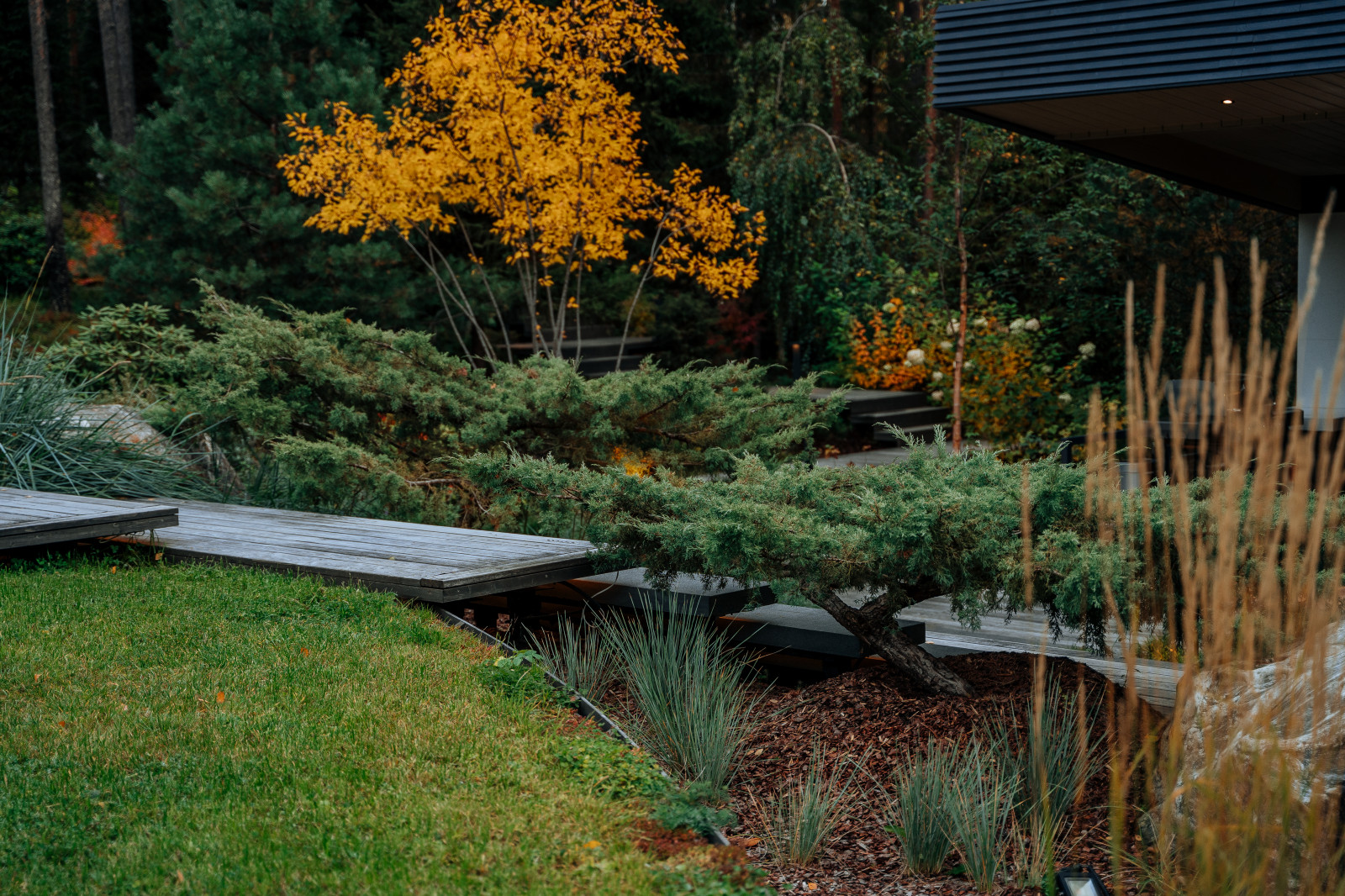 Северный сад