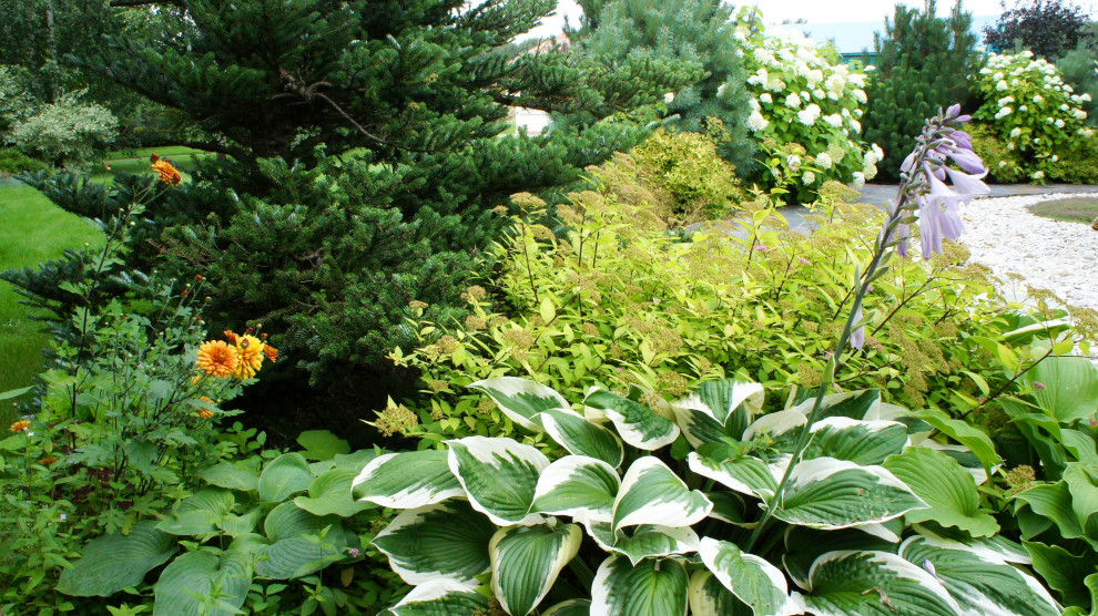 Цветники и композиции крупным планом