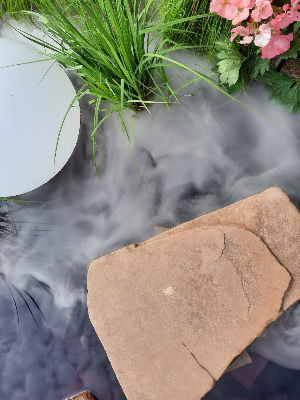 Выставочный сад на фестивале в Царицыне "Видение розы"