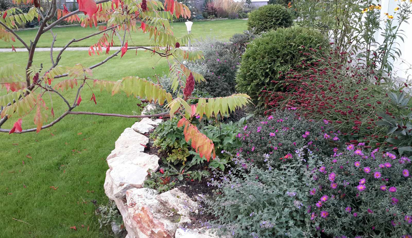 Сентябрьский день в природном саду