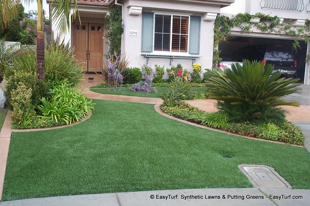 Beautiful Front Yard