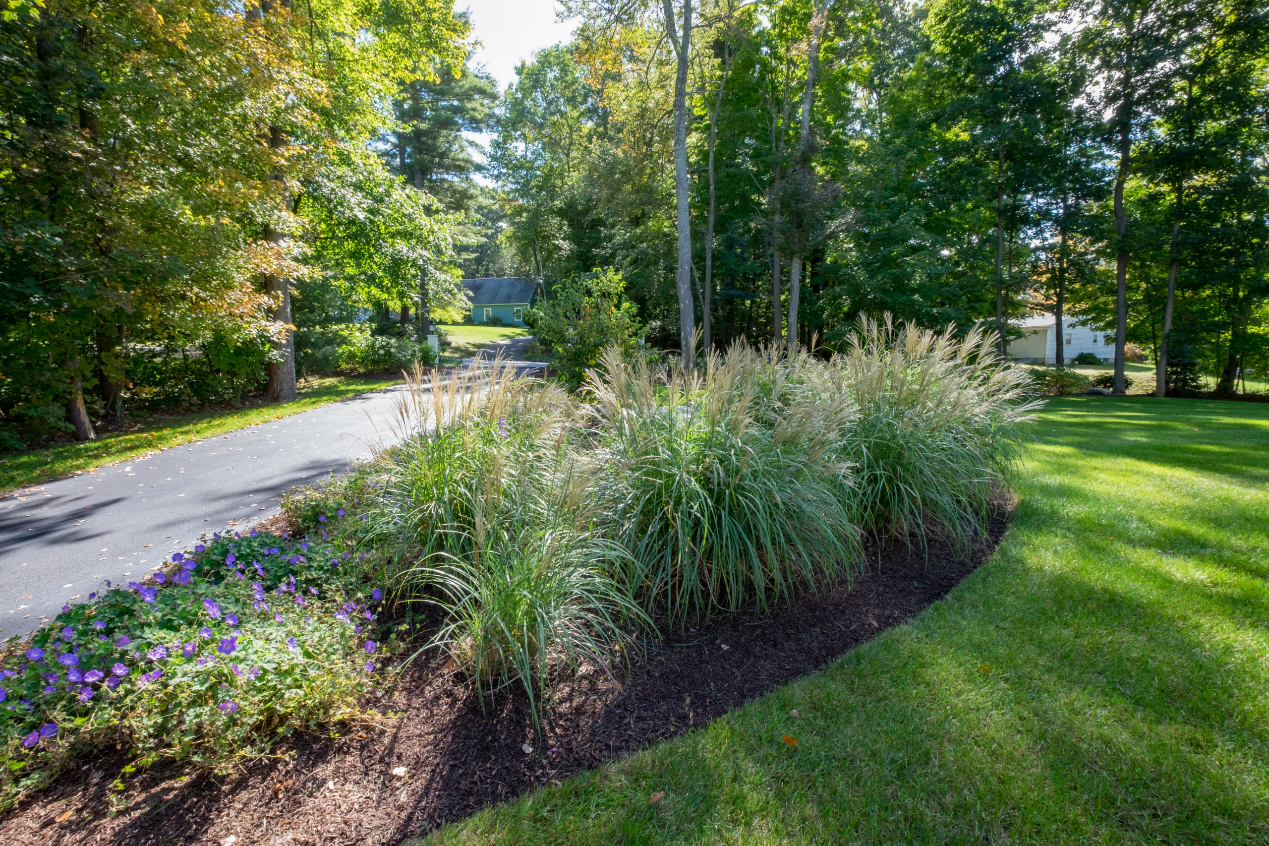 Westford Street Garden