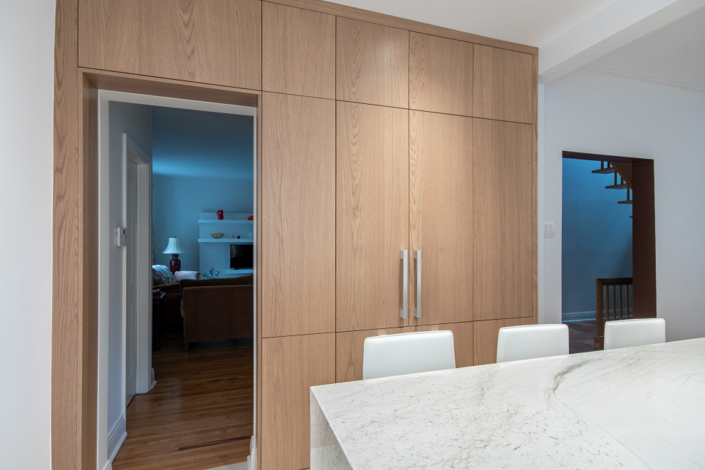 Modern Minimalist Kitchen Montreal